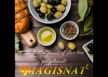 Mediterranean diet and nutritional genomics in relation to cancer in women