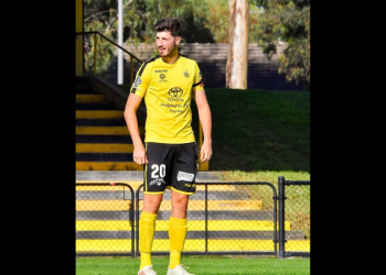 Luka Ninkovic