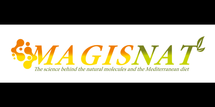 MAGISNAT