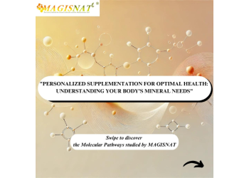 MAGISNAT